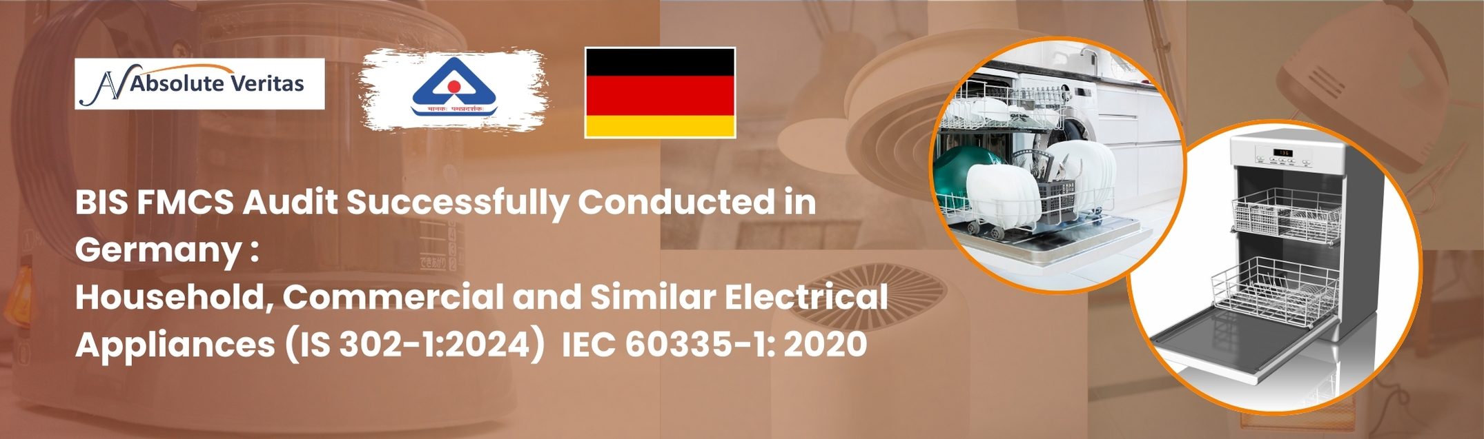 Germany BIS Audit